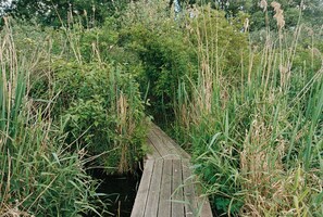 A narrow wooden pathway surrounded by tall grasses and dense foliage. - Tower villa apartment with pergola at Mühlenberg (Werder (Havel))