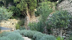 Un sendero de piedra que atraviesa un jardín con arbustos diversos y un muro de piedra.