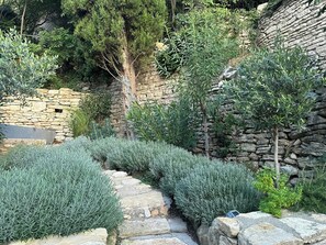 Ein Kiesweg führt durch einen Garten mit verschiedenen Sträuchern und einer Steinmauer.