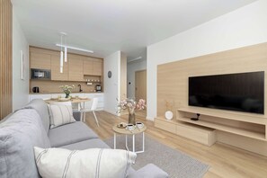 Fernseher, Arbeitsbereiche