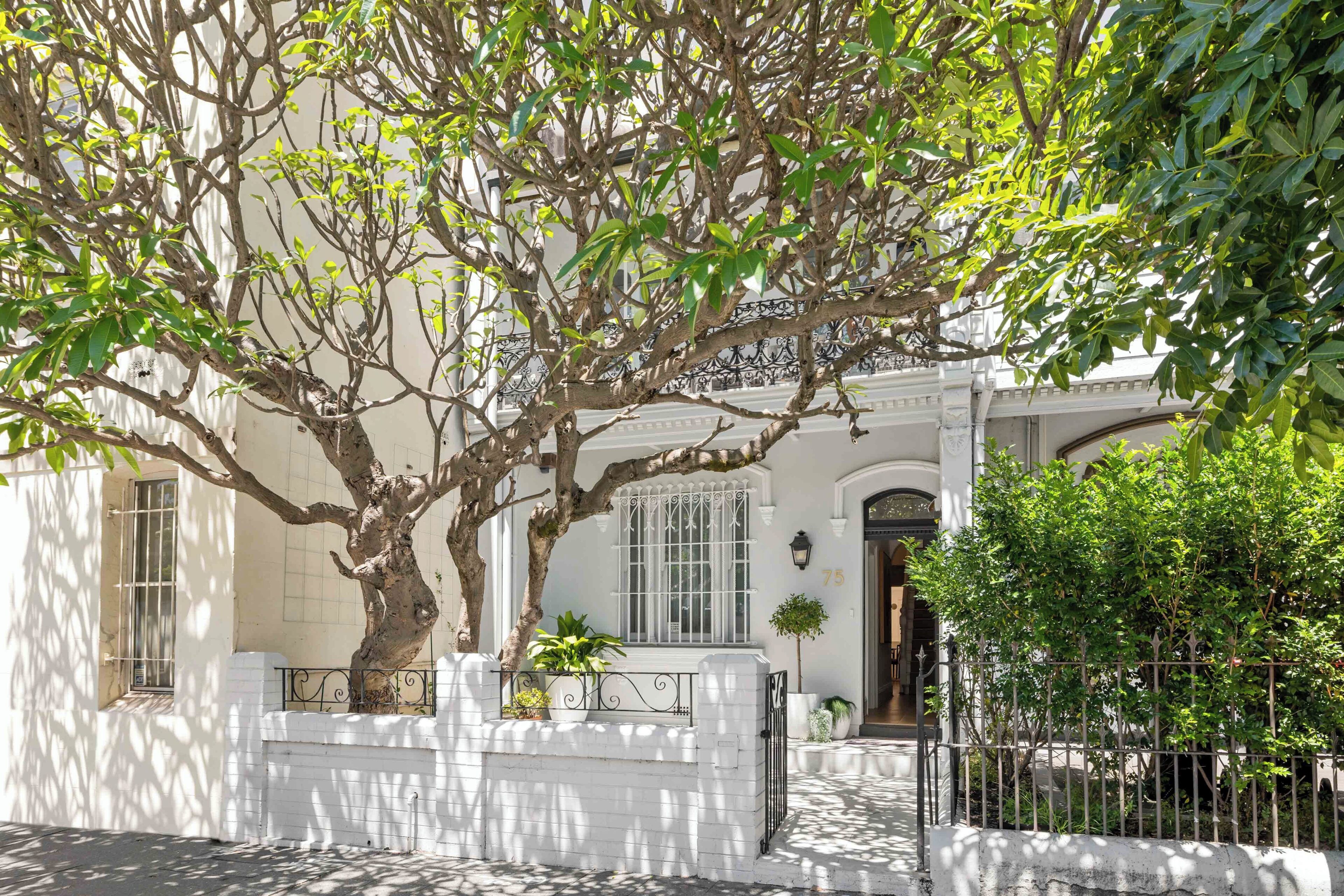 A white building with a large tree in front, a gate, and a number '75' on the wall.