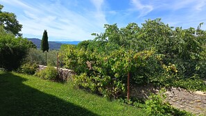 Property grounds - Independent studio (garden, TV, wifi) 2/3 persons (Les Mées)