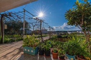Ein Dachgarten mit Kübelpflanzen, einer Pergola und blauem Himmel.