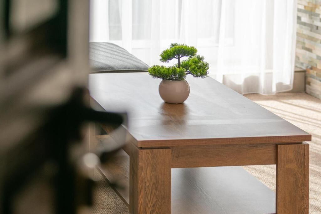 A wooden coffee table with a potted plant in a round pot.