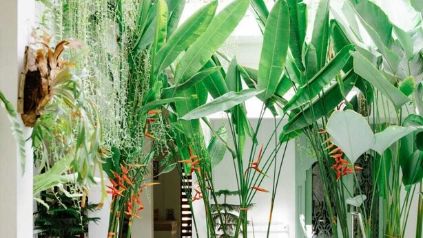 A pool area with tiled flooring, surrounded by various indoor plants and a staircase. - Naia Hotel Kuta Lombok (Kuta)