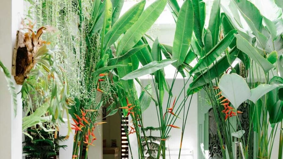 Naia Hotel Kuta Lombok