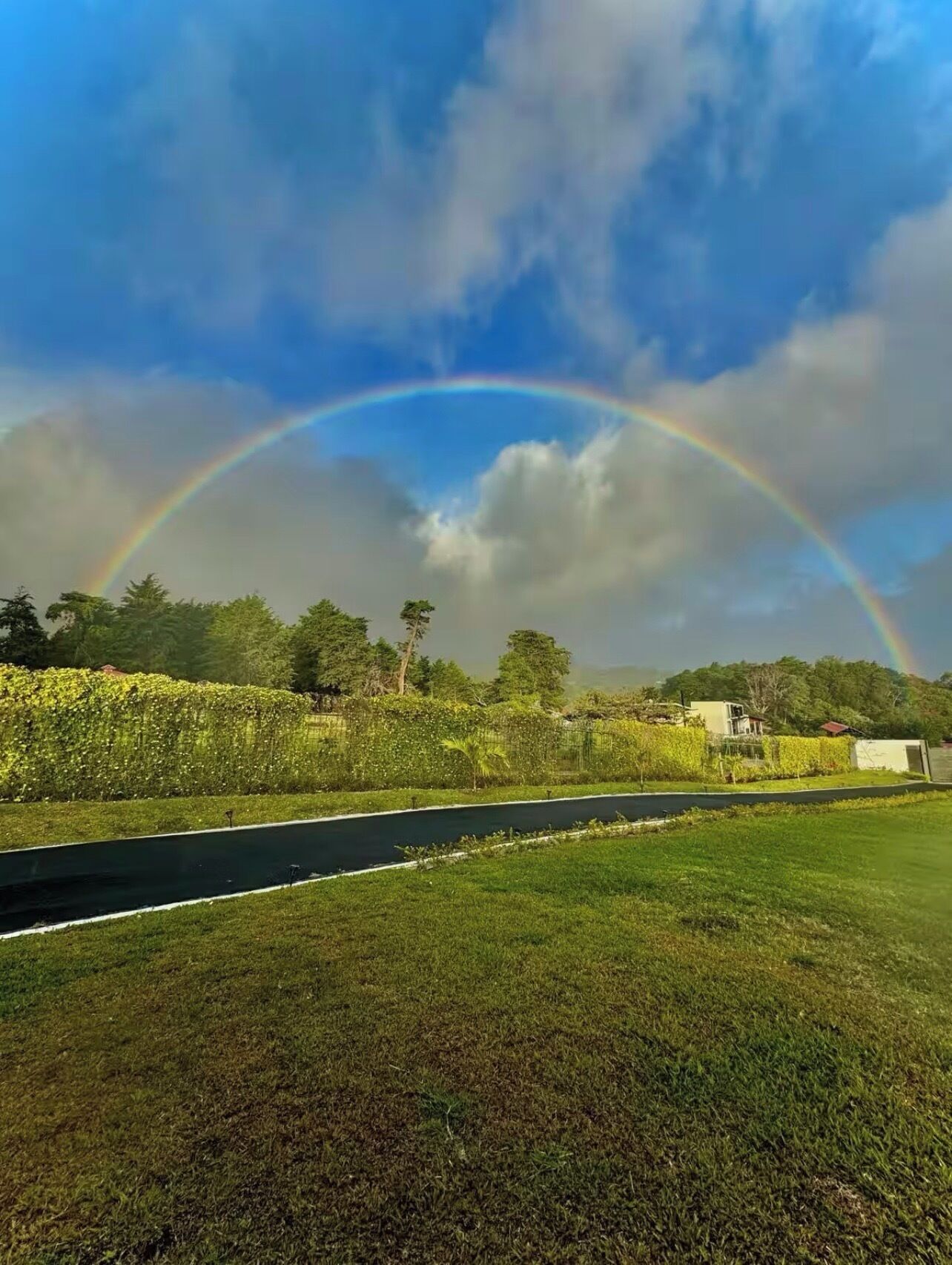 Une route bordée d’un arc-en-ciel, de verdure, avec un bâtiment en arrière-plan.