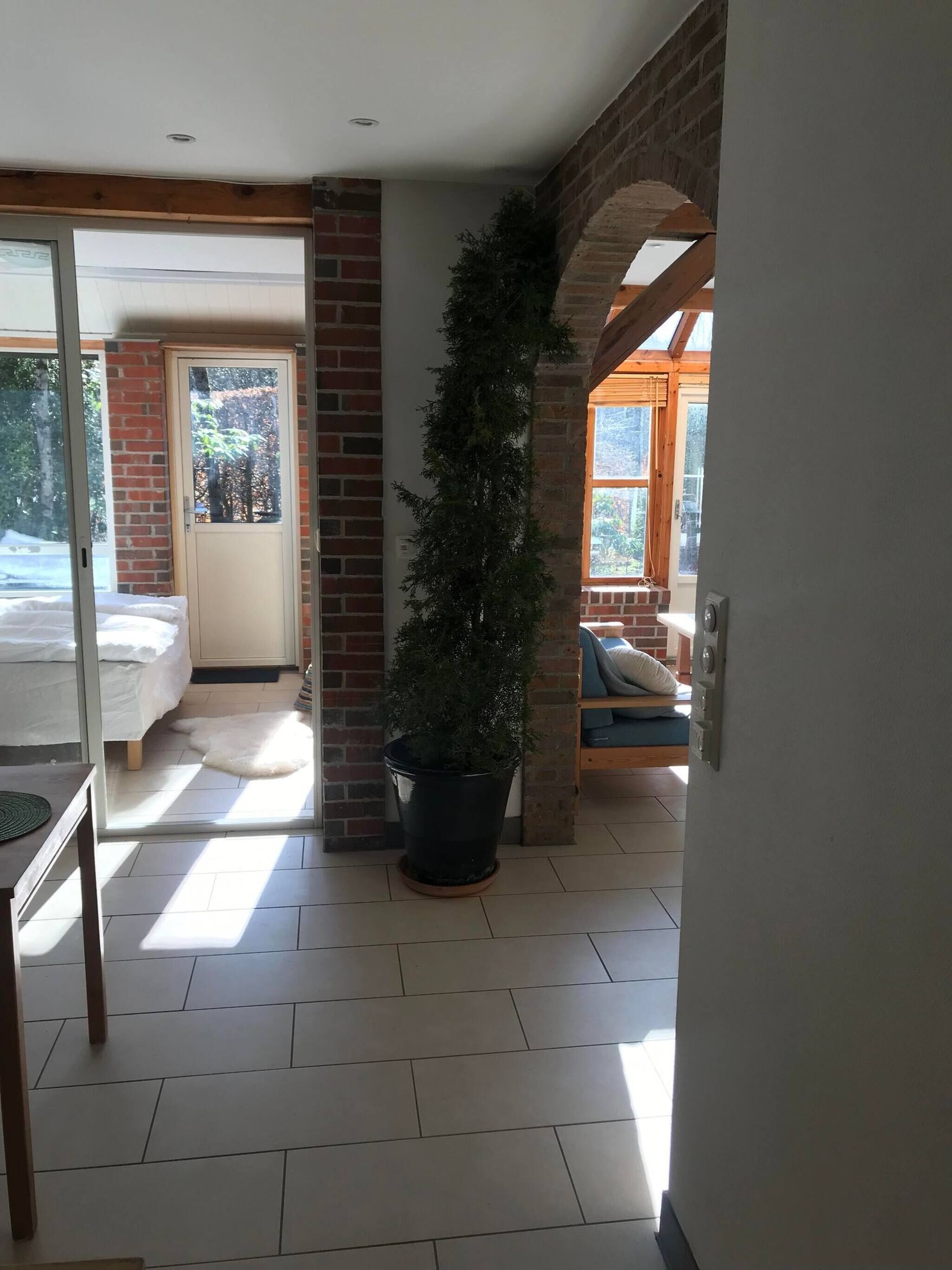 A room with a bed, a potted plant, a wooden bench, and a view through an open door.