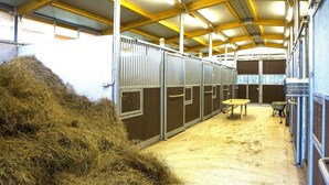 A stable with metal stalls, hay, and a table. - Casa Nord Silvano - rustico di paese (Borghetto d'Arroscia)