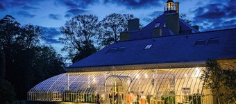 Domaine Le Mezo