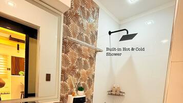 Shower, hair dryer, bidet, towels