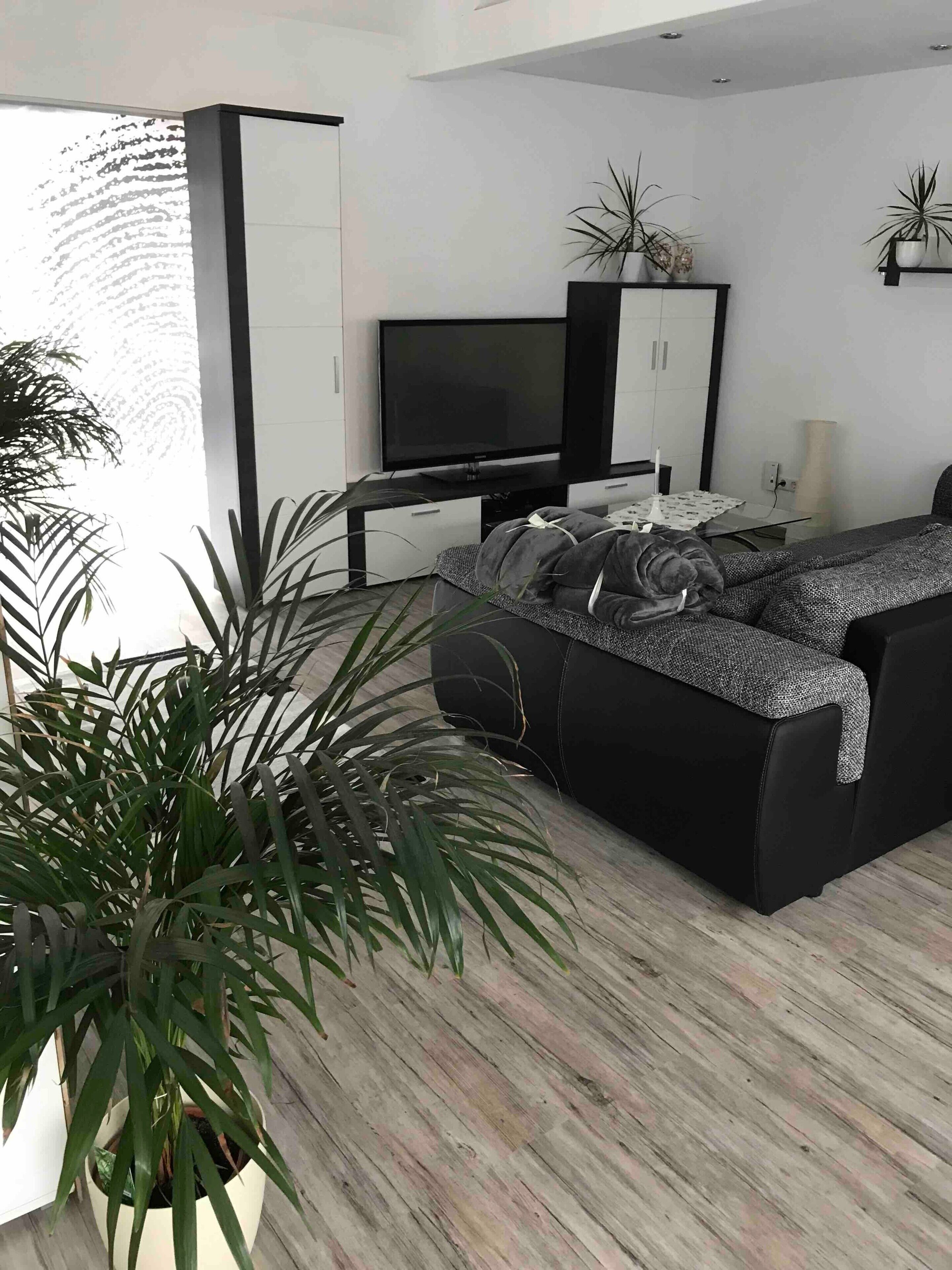 Fernseher, DVD-Player