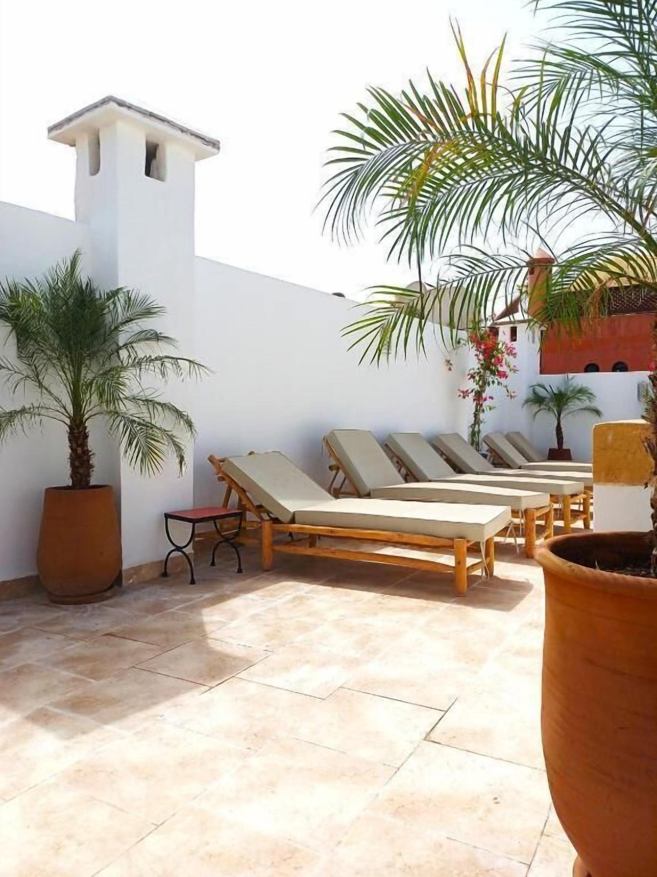 A rooftop terrace with lounge chairs, potted plants, and a small table.