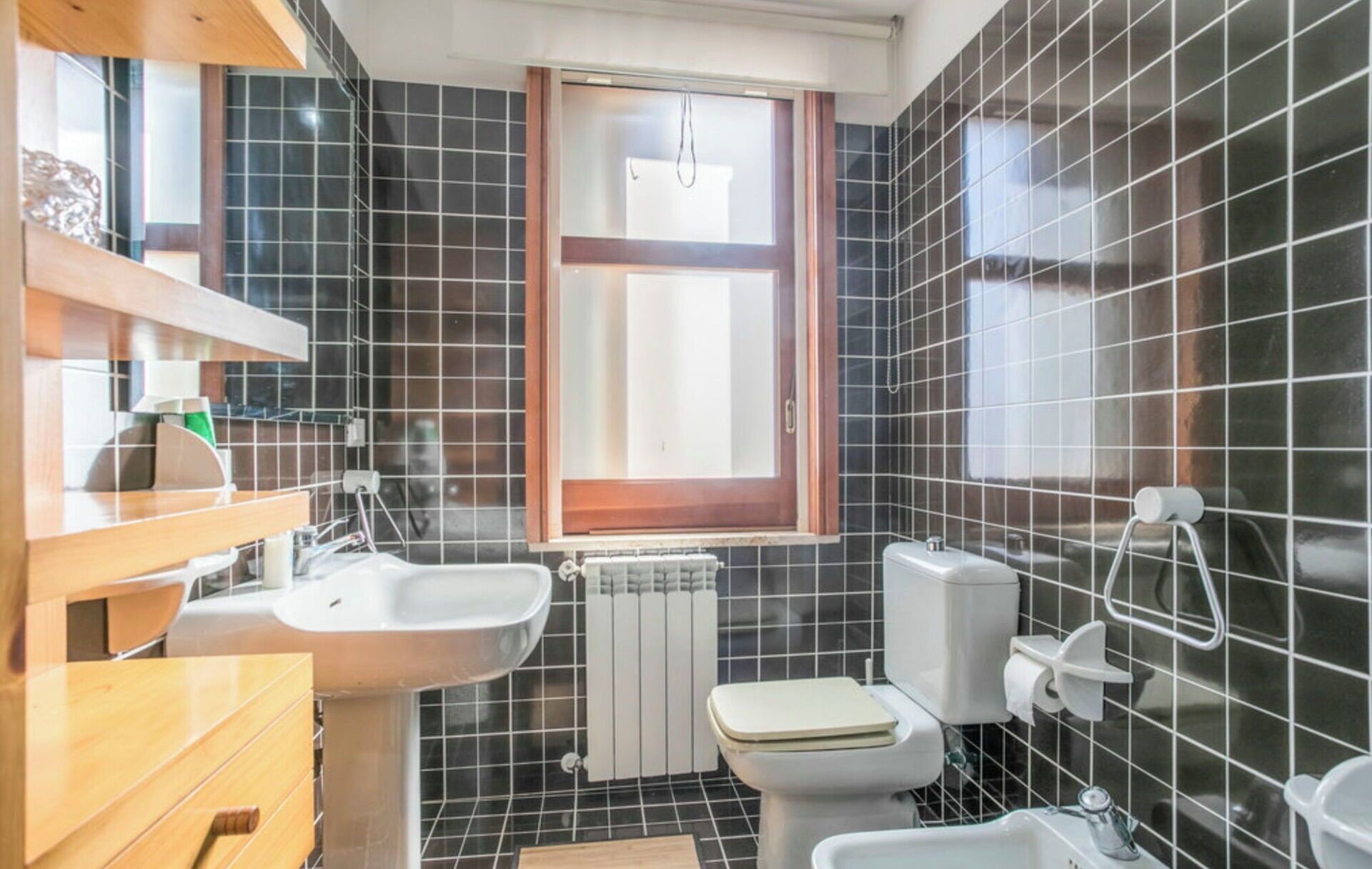 Shower, hair dryer, bidet