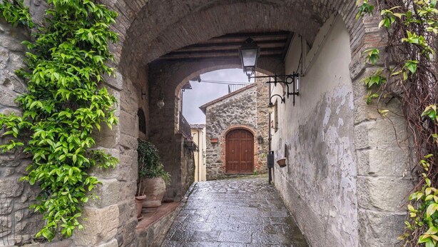 Un estrecho callejón de piedra con una puerta de madera al final, flanqueado por muros de piedra y vegetación.
