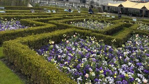 Un edificio histórico con una gran entrada en arco, una torre del reloj y un jardín con setos y flores cuidados.