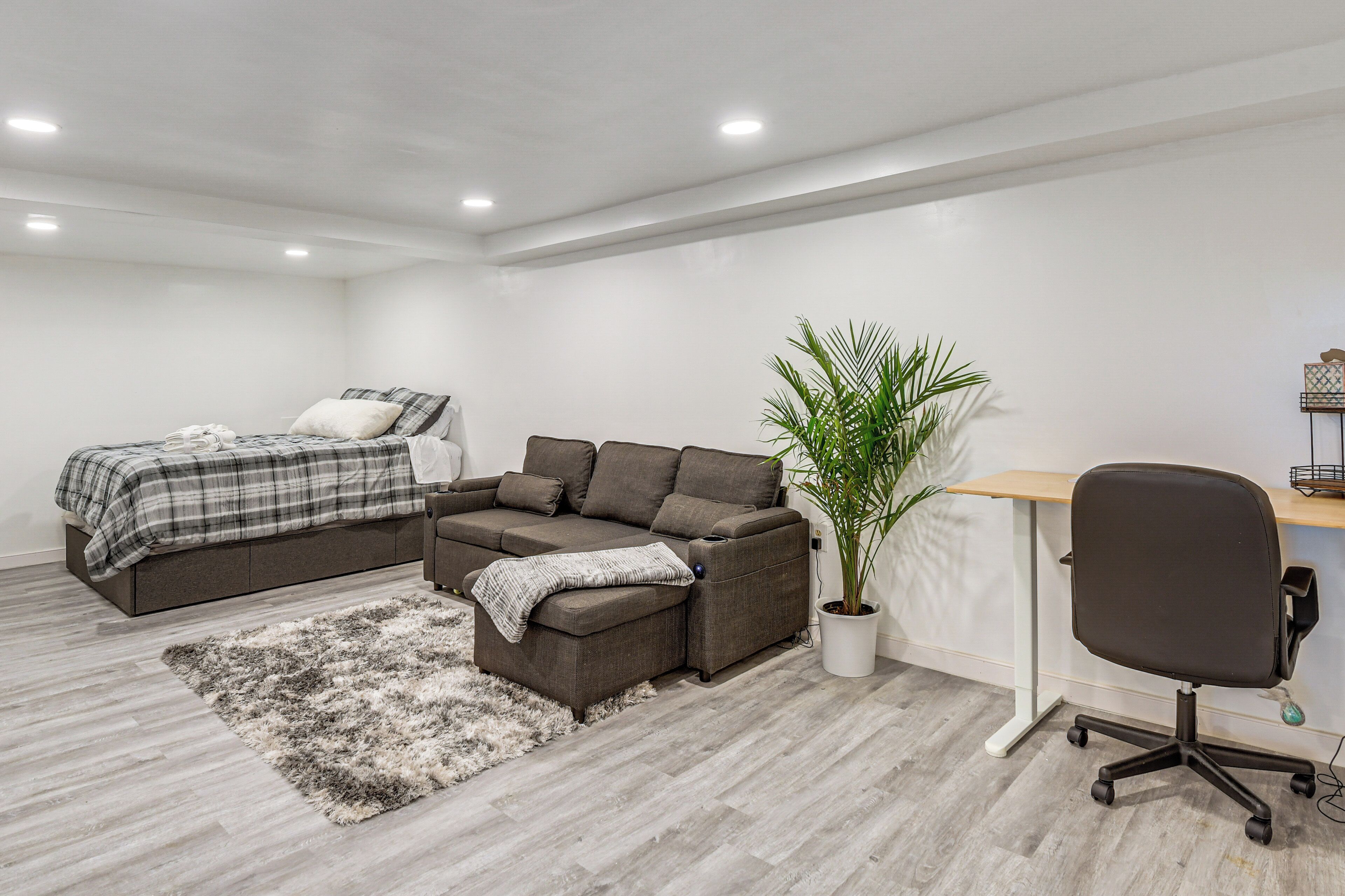 Un dormitorio moderno con cama, sofá, escritorio y planta en maceta.