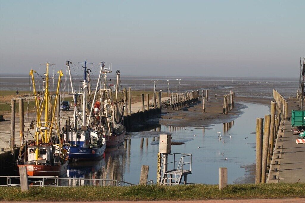 Puerto deportivo