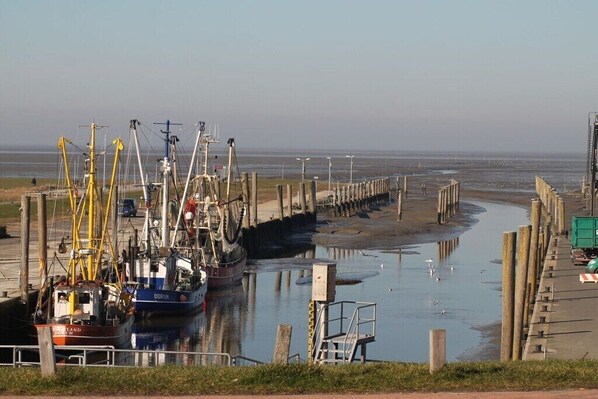 Ein Hafen mit vertäuten Booten, einer Mole und ruhigem Wasser.
