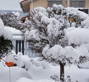 Un árbol cubierto de nieve frente a un edificio con balcón visible.