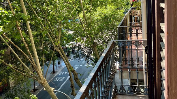 Varanda com grades de metal decorativas, com vista para uma rua com árvores e edifícios.