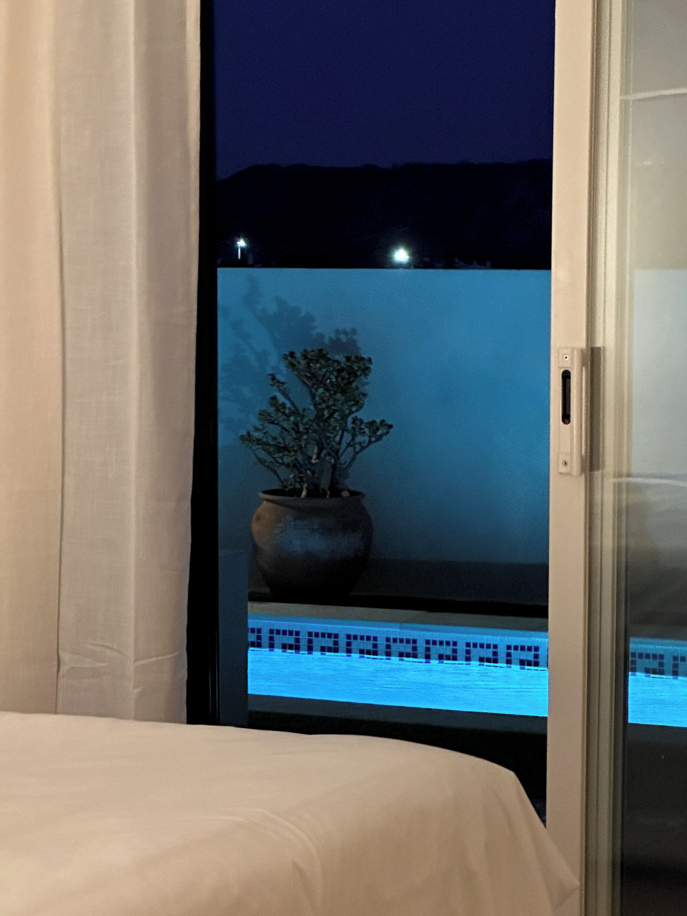A television screen displaying a potted plant, a window with curtains, and a glimpse of a night sky.