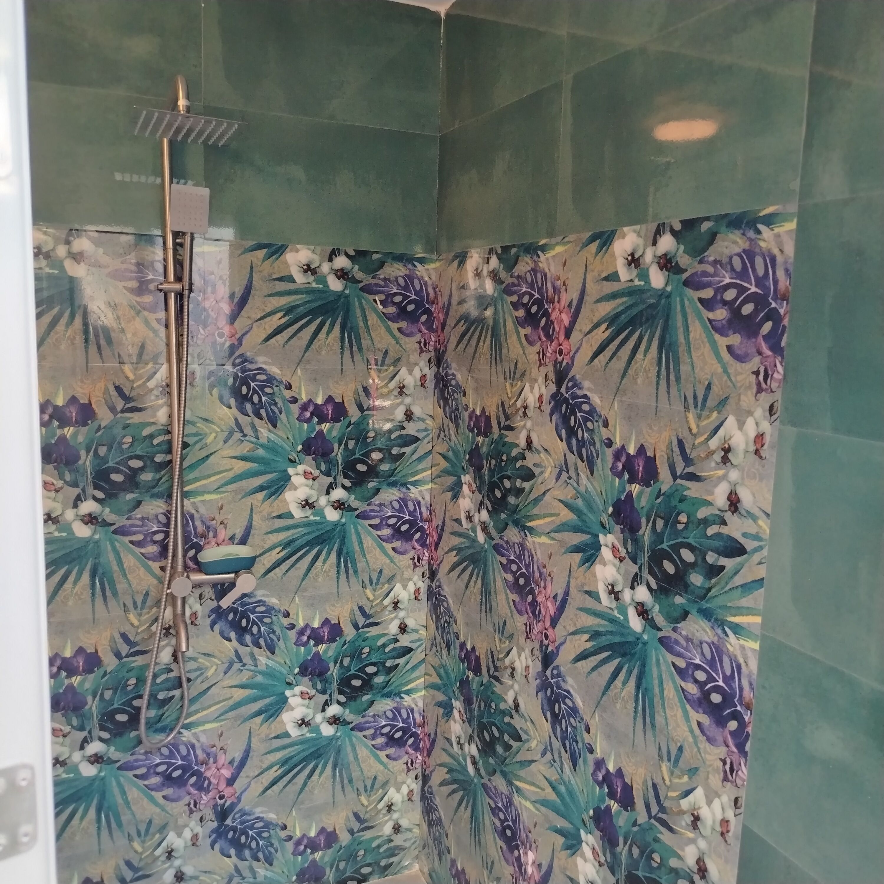 Shower, bidet, towels, soap