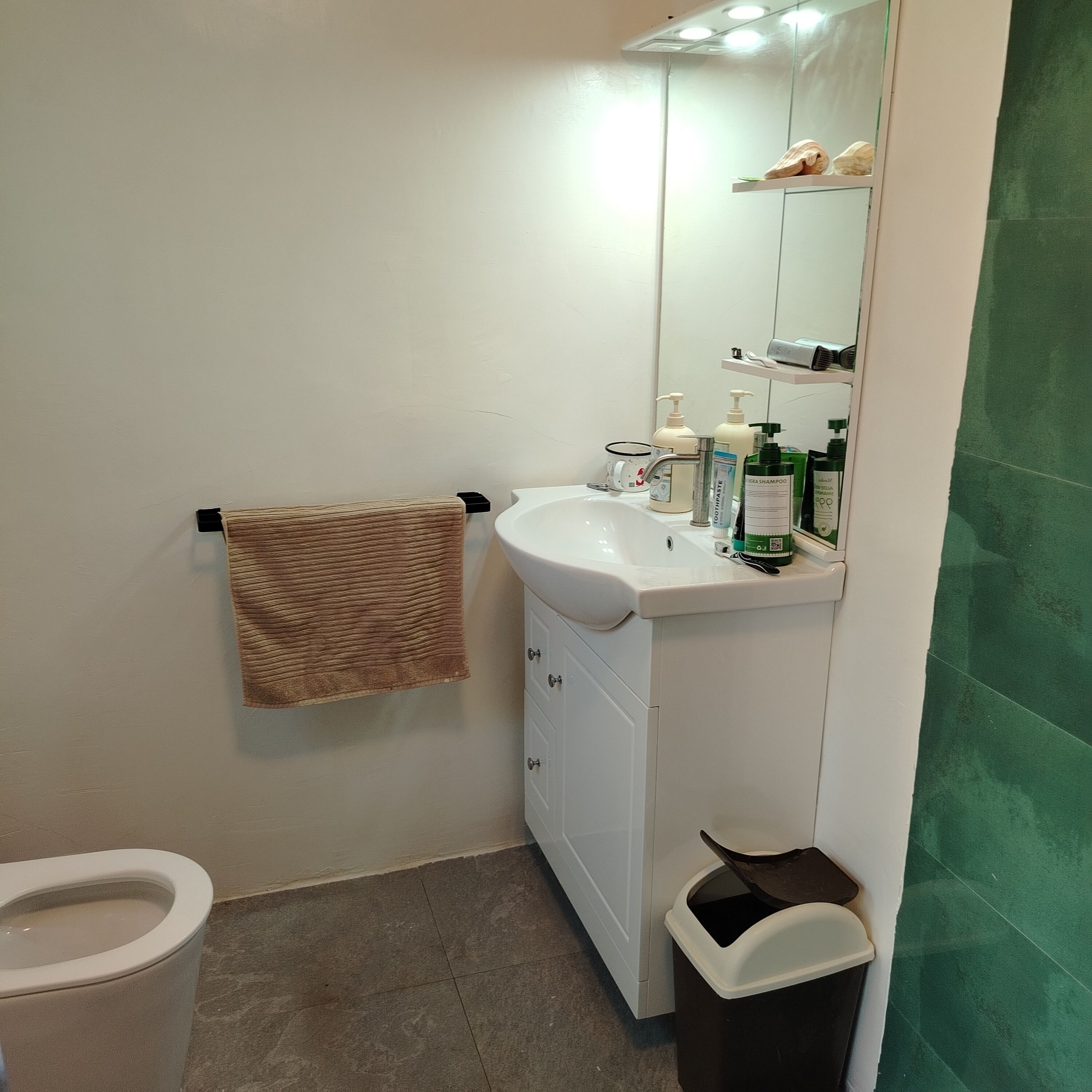 Shower, bidet, towels, soap
