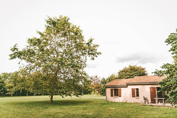 A house with a tiled roof and a large tree in front.