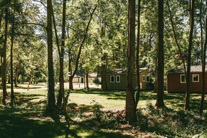 A forested area with several small cabins.