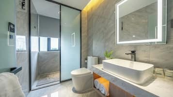 Habitación doble | Baño | Ducha, secador de pelo, zapatillas y toallas