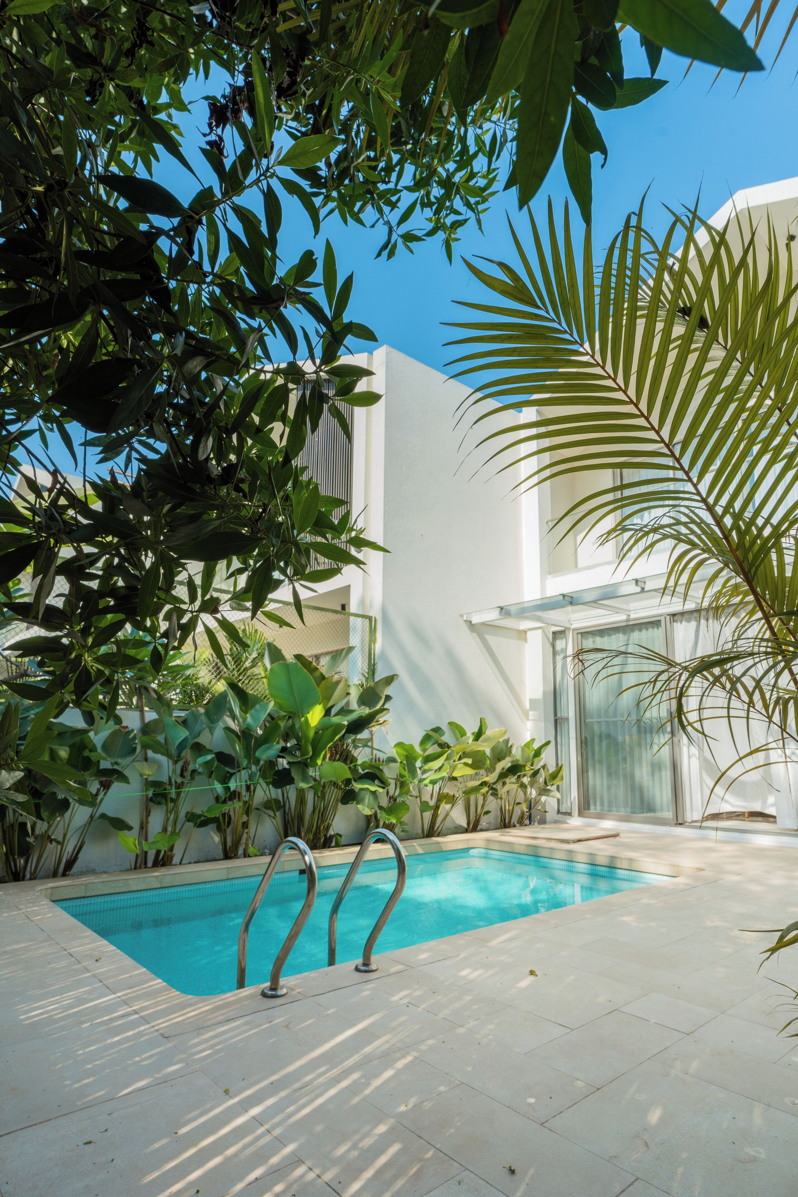 Una piscina con acqua cristallina, circondata da piante e alberi di varie tonalità di verde.