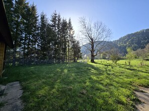 Property grounds - CHALET EN BORD DE SOURCE A QUELQUES KILOMETRES DE LA VALLEE DE CHAUDEFOUR (Chambon-sur-Lac)