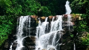 Una cascada que flueix sobre roques a una bassa cristal·lina envoltada de vegetació exuberant.