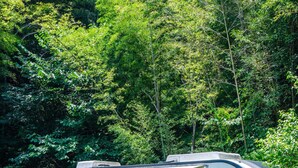 A recreational vehicle (RV) parked in a lush, green forested area. - YAOJIA YANGXIN RESORT (Shaoxing)