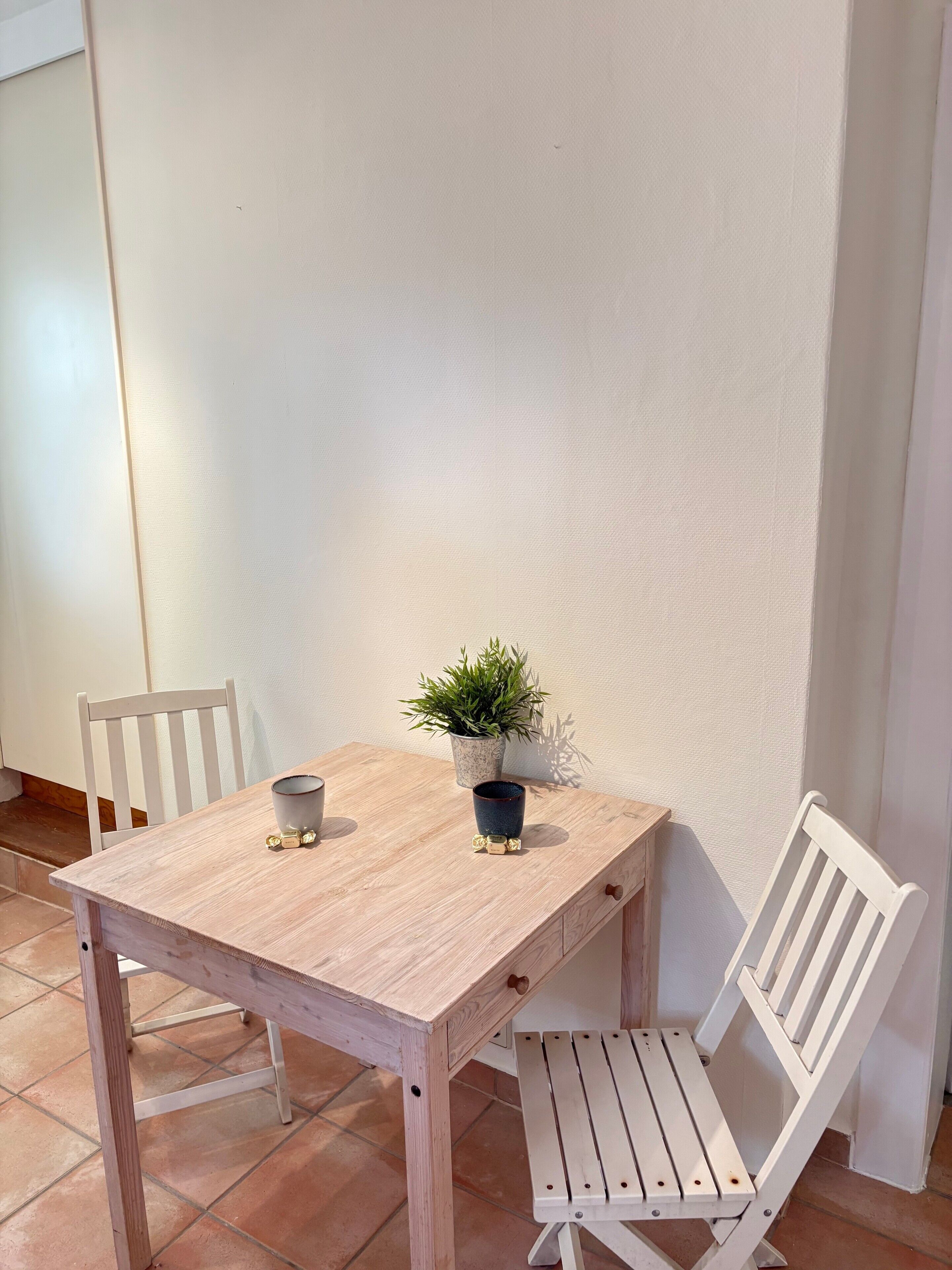 Een houten tafel met twee stoelen, een potplant en een klein decoratief object.