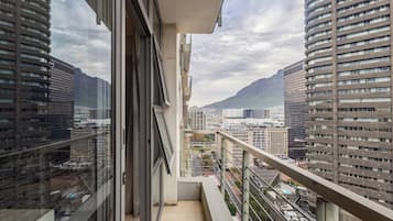 Basic Apartment, City View | Terrace/patio