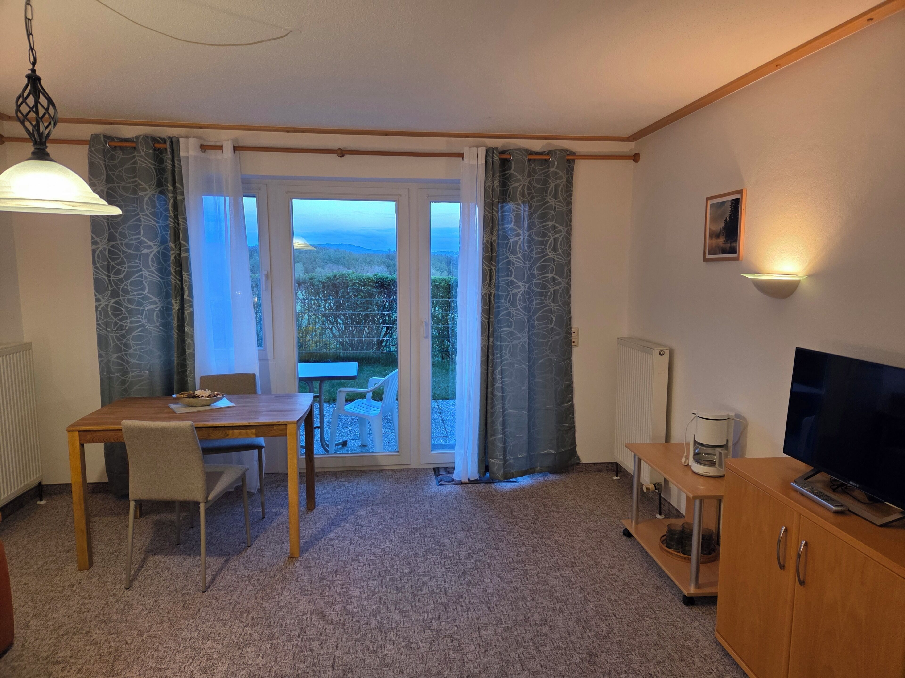 A room with a dining table, chairs, a TV, a radiator, and a view through a glass door.