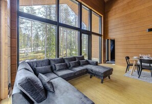 TV, fireplace, books, stereo