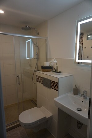 Shower, hair dryer, towels