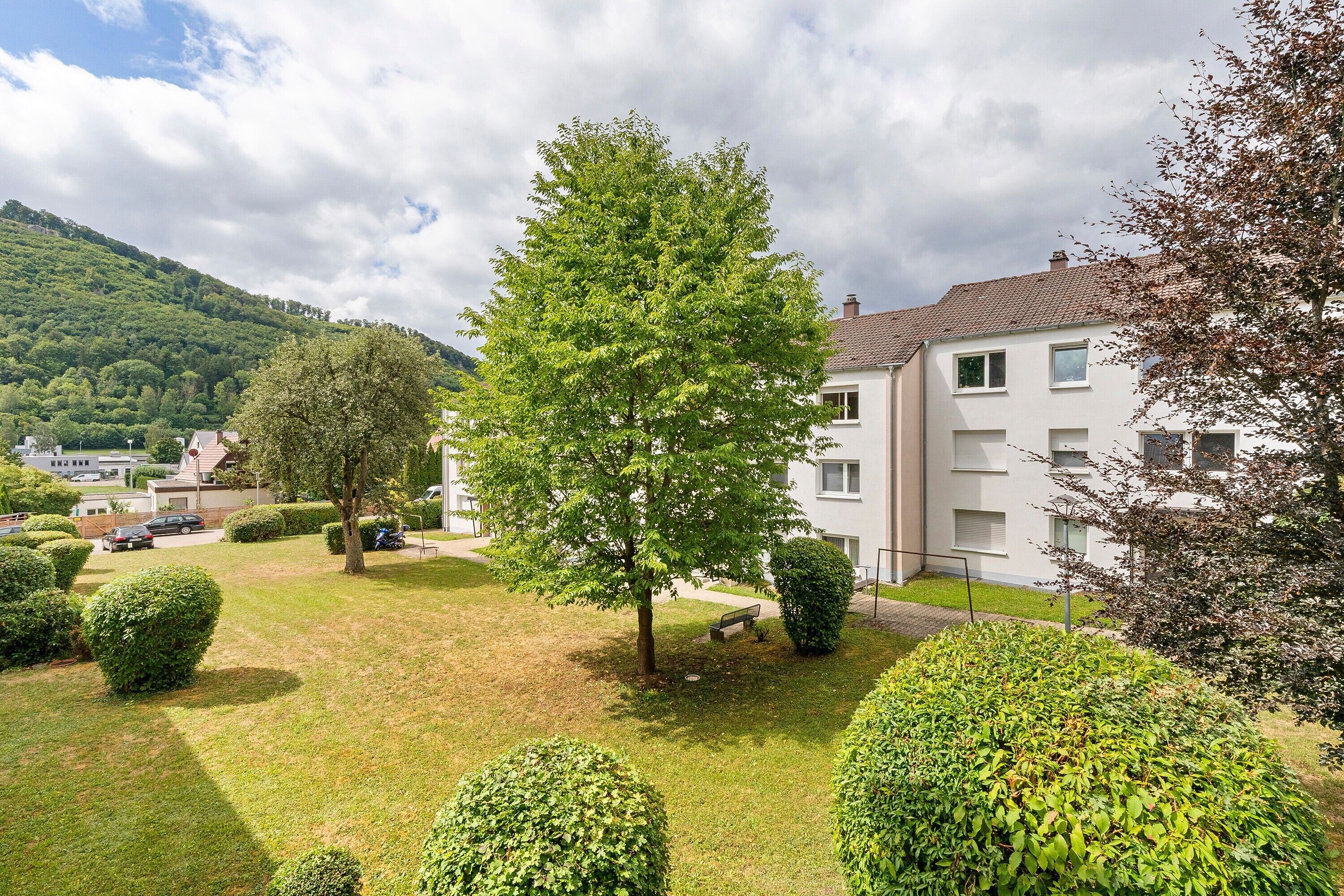 Ein Wohngebiet mit einer großen Baum, gepflegten Rasenflächen und einem Gebäude mit vielen Fenstern.