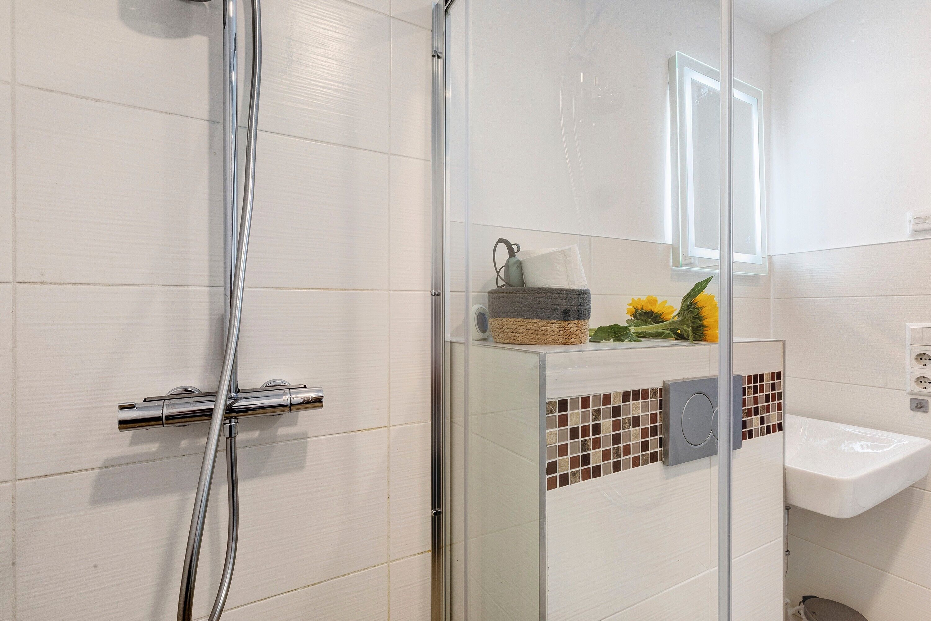 Shower, hair dryer, towels