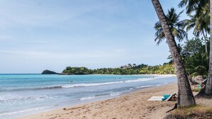 Ein Strand mit klarem Wasser, Palmen und einer fernen Insel.