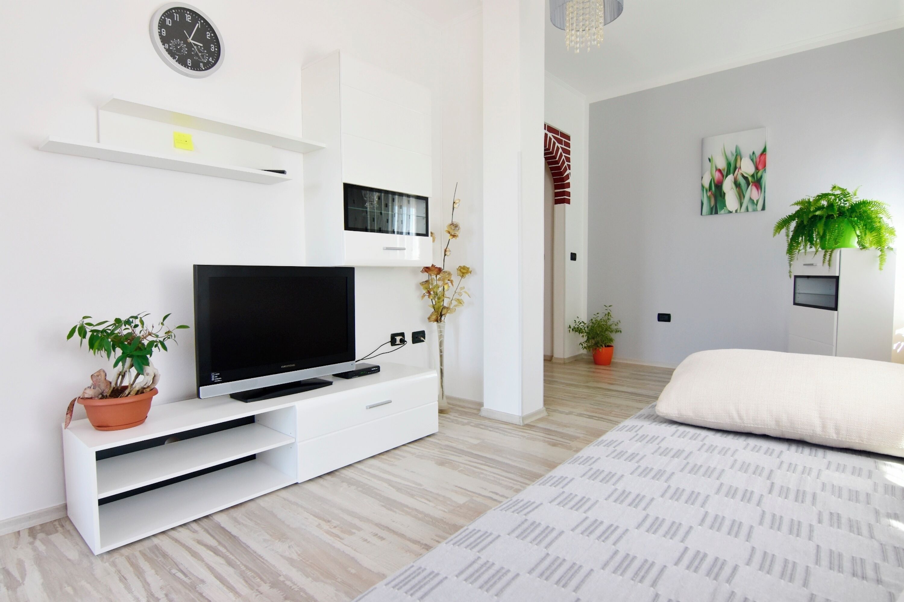 Een moderne woonkamer met een flatscreen televisie, een witte entertainmentkast, potplanten, een klok en een schilderij.