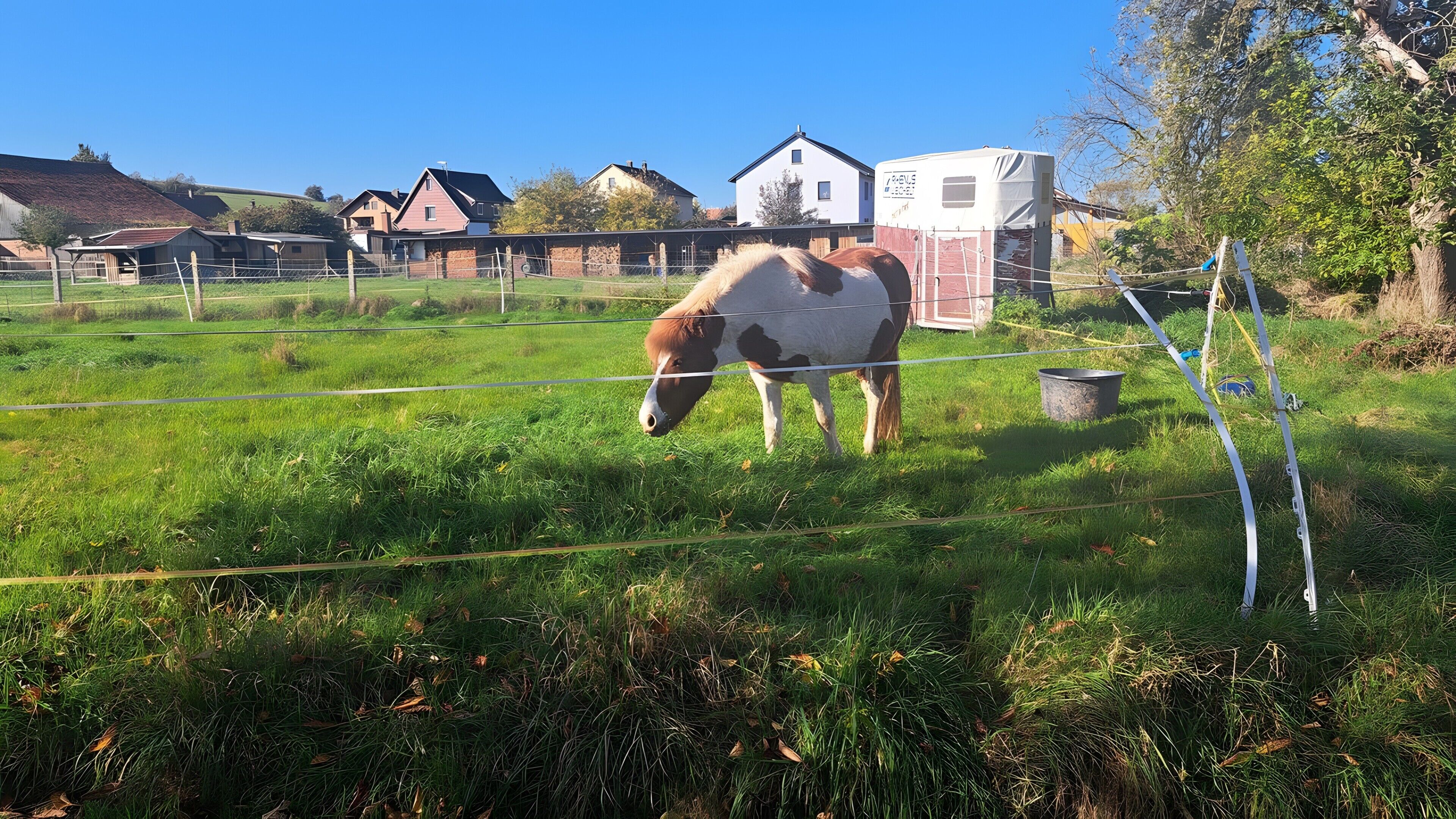 Un cheval broute dans un champ clôturé, avec des maisons en arrière-plan.