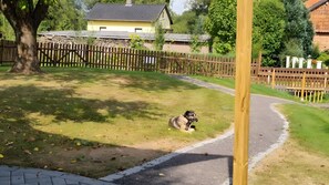 A dog lying on grass near a wooden fence in a residential area. - Holiday Home 'Bauwagen Rhumeblüte' with Private Terrace, Garden and Wi-Fi (Rüdershausen)
