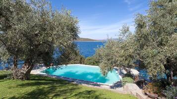 A swimming pool surrounded by olive trees and a view of the sea.
