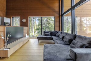 Villa supérieure, 4 chambres, sauna, secteur Affaires | Aire de séjour | Téléviseur connecté de 60 po avec télévision par câble, foyer, livres