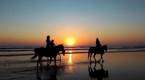 Beach - Vrbo Property (Eu)