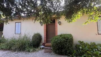 Detalle del exterior